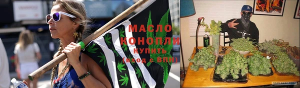 индика Абдулино