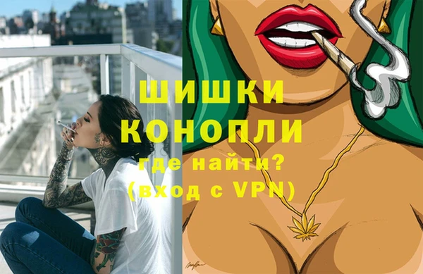 индика Абдулино