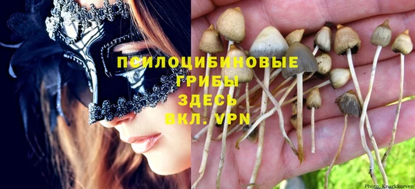 индика Абдулино