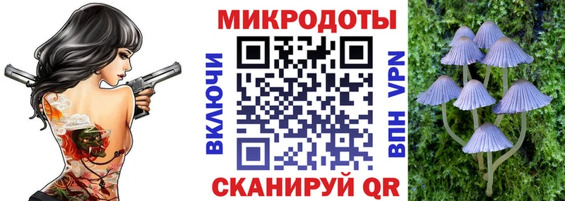 Псилоцибиновые грибы Psilocybe  Адыгейск 